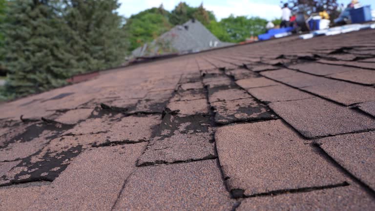 Best Cold Roofs  in Graniteville, SC